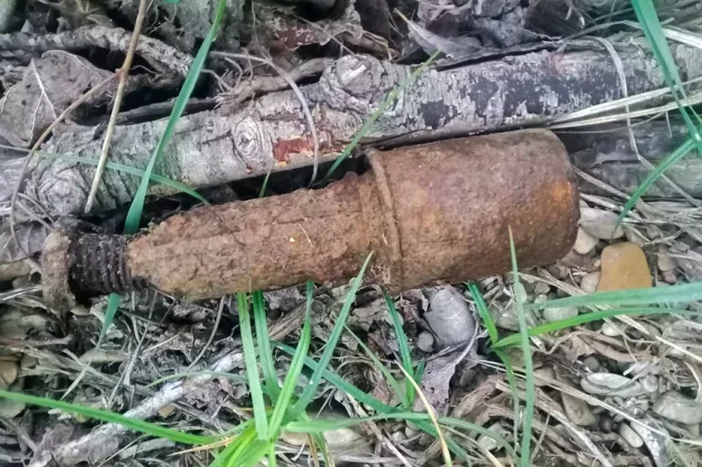 В Краснодарском крае рыбак выловил гранату