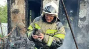 В Краснодарском крае из горящего дома вынесли трёх карликовых кроликов