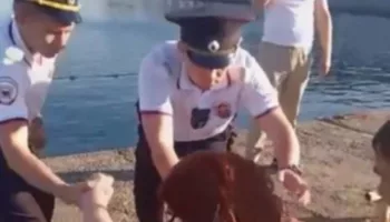 В Сочи пьяная туристка проспала всю ночь в Чёрном море: видео