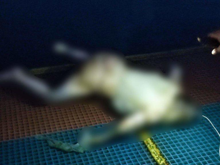 Нашли тело утонувшей 20-летней туристки в Сочи