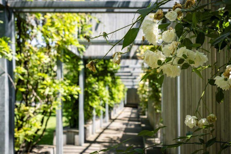 Сергея Галицкого попросили затенить парк «Краснодар»