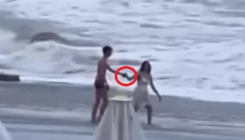 Снос туристки штормом в Чёрное море объяснили её тягой к фото