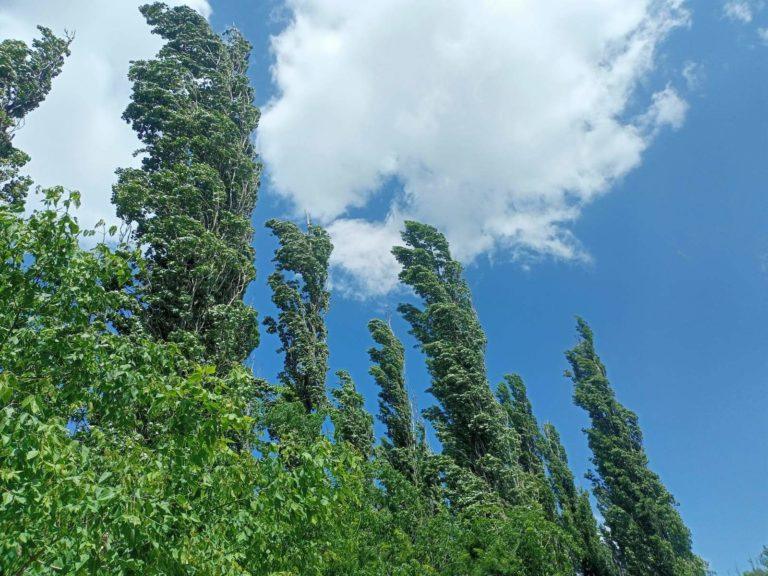 В Краснодаре и крае объявили двухдневное предупреждение о шторме