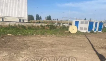 В Краснодаре засохли трава и деревья у открытого Путиным Дворца самбо