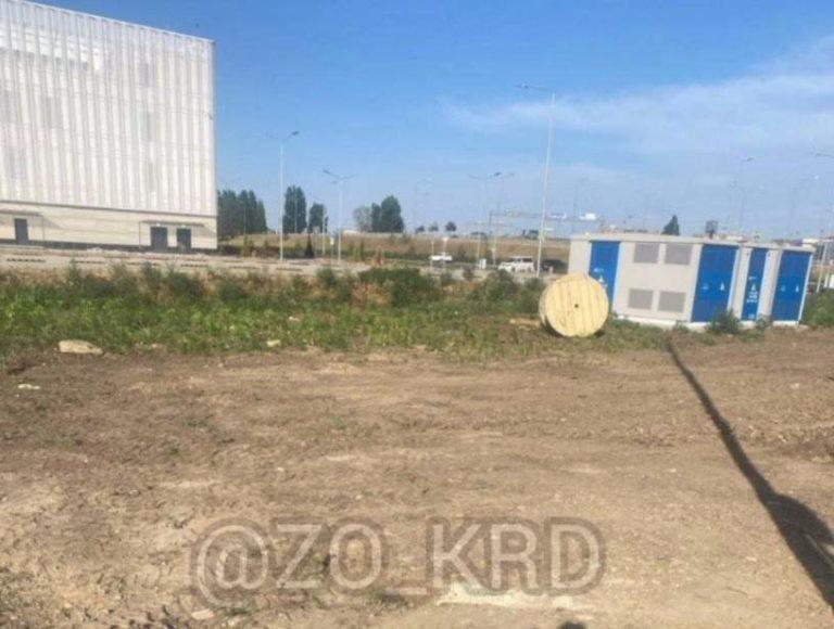 В Краснодаре засохли трава и деревья у открытого Путиным Дворца самбо