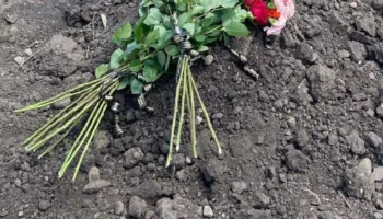 В Краснодаре забыли привезти могильный крест на похороны