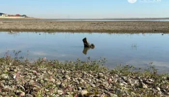 В Краснодарском водохранилище уровень воды упал на 10 метров за сутки