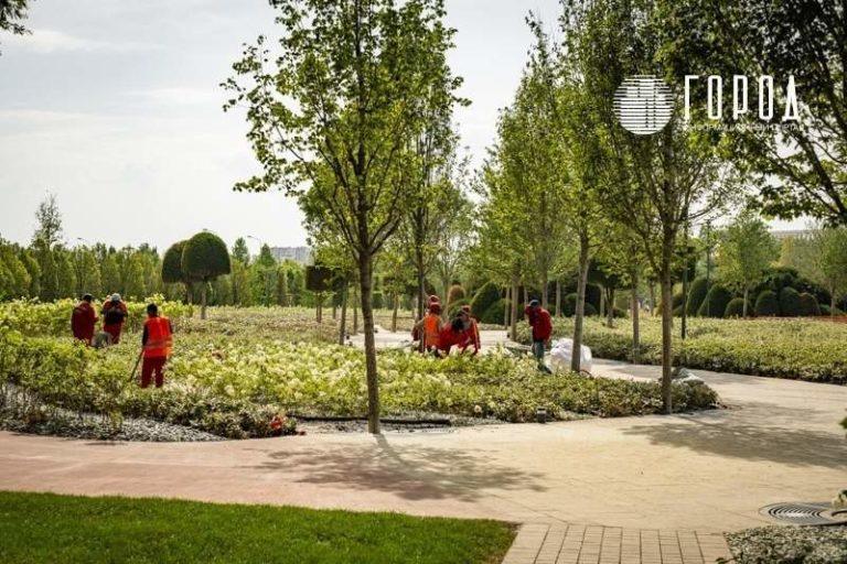 В Краснодарском крае гастарбайтерам запретят работать на полях и в отелях