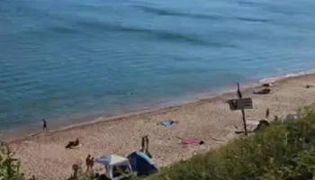 В Анапе запретили проход в одежде на нудистский пляж: видео
