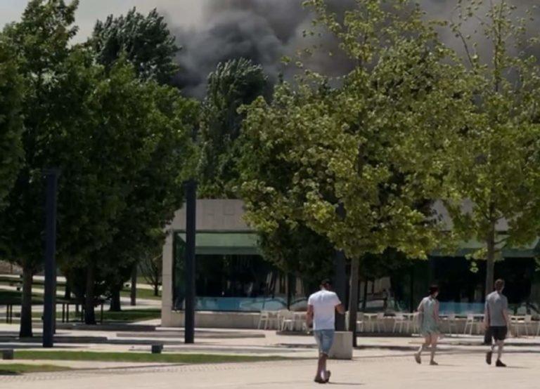 В Краснодаре загорелся парк Галицкого: видео