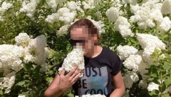 В парке «Краснодар» туристы уничтожают новый Парк облаков: видео