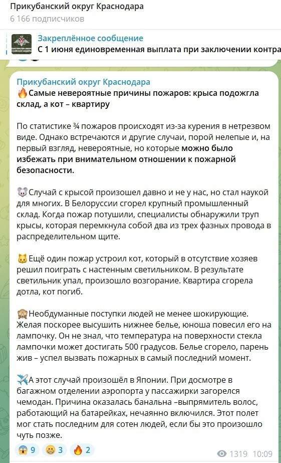 Чиновники Краснодара обвинили в пожарах котов, крыс и сушку белья