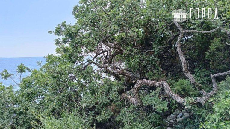 Землетрясение произошло в 16 километрах от Сочи