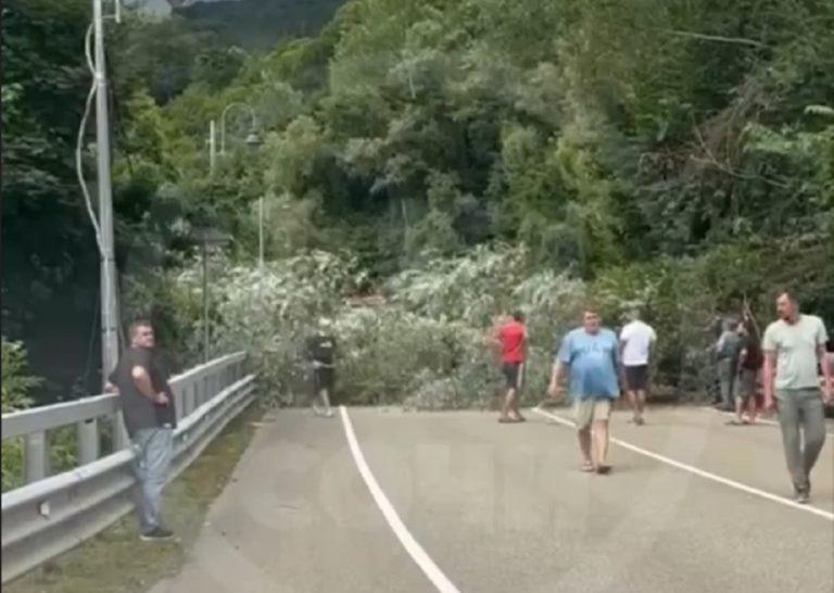 Рухнувшее дерево перекрыло проезд на Красную Поляну