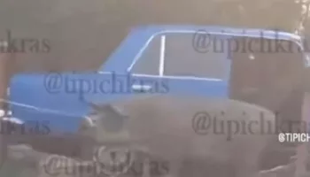 Свинья в «шестёрке» укусила водителя: видео