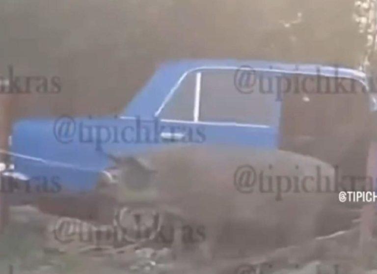Свинья в «шестёрке» укусила водителя: видео