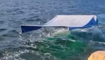 Катамаран с туристами затонул в Азовском море: видео