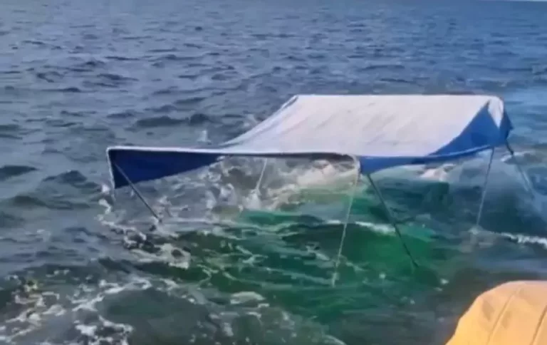 Катамаран с туристами затонул в Азовском море: видео