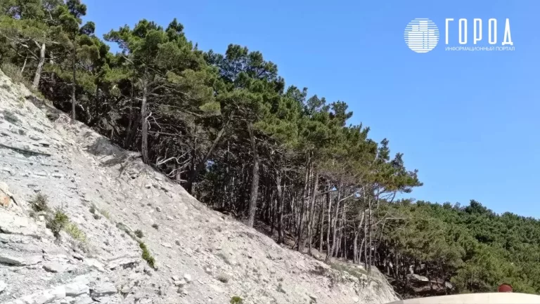 «Мы будем делать бабки, пока идёт турист»: на Чёрном море вымогают деньги за природу