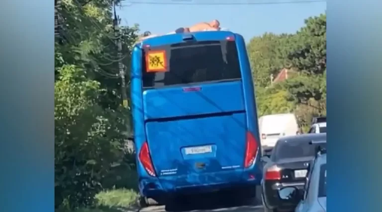 Туристы загорают на крышах автобусов в Анапе: видео