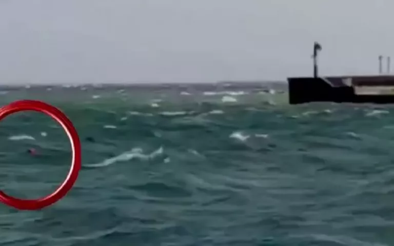 В Новороссийске девушку унесло в море: видео