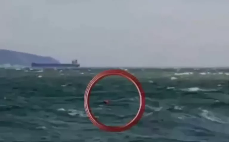 Унесённая штормом в Чёрное море девушка приплыла через 3,5 часа: видео