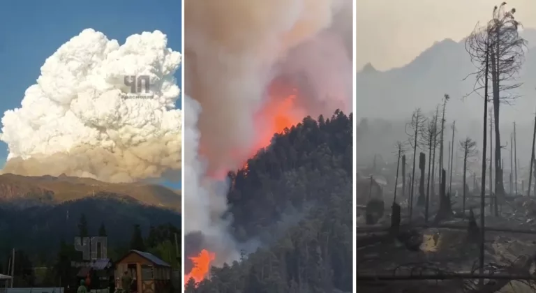 На Домбае сгорело 278 гектаров леса: видео апокалипсиса