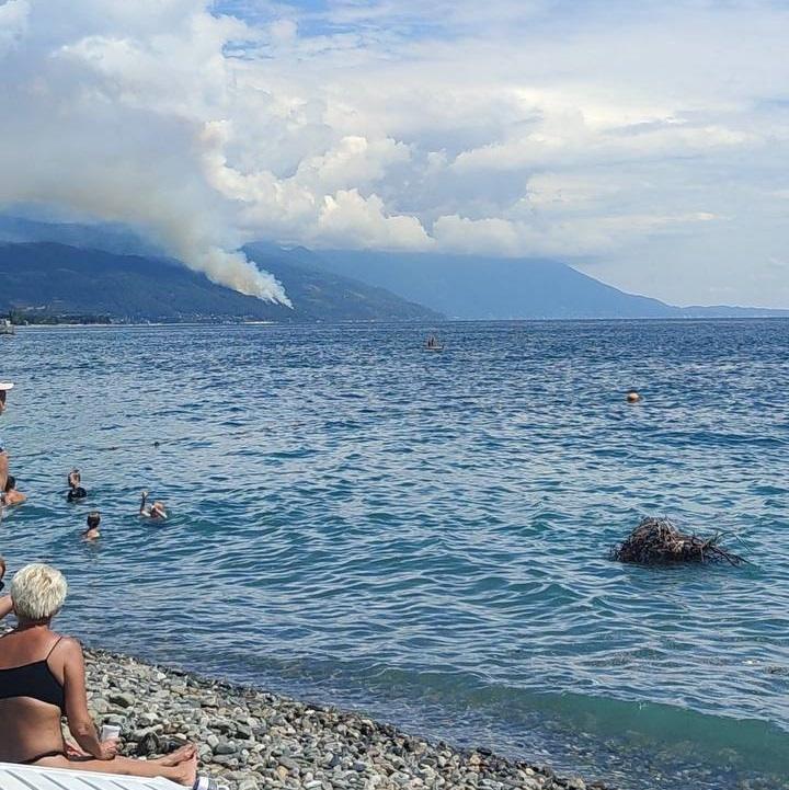 В Абхазии горит 60 гектаров леса у Чёрного моря: фото и видео