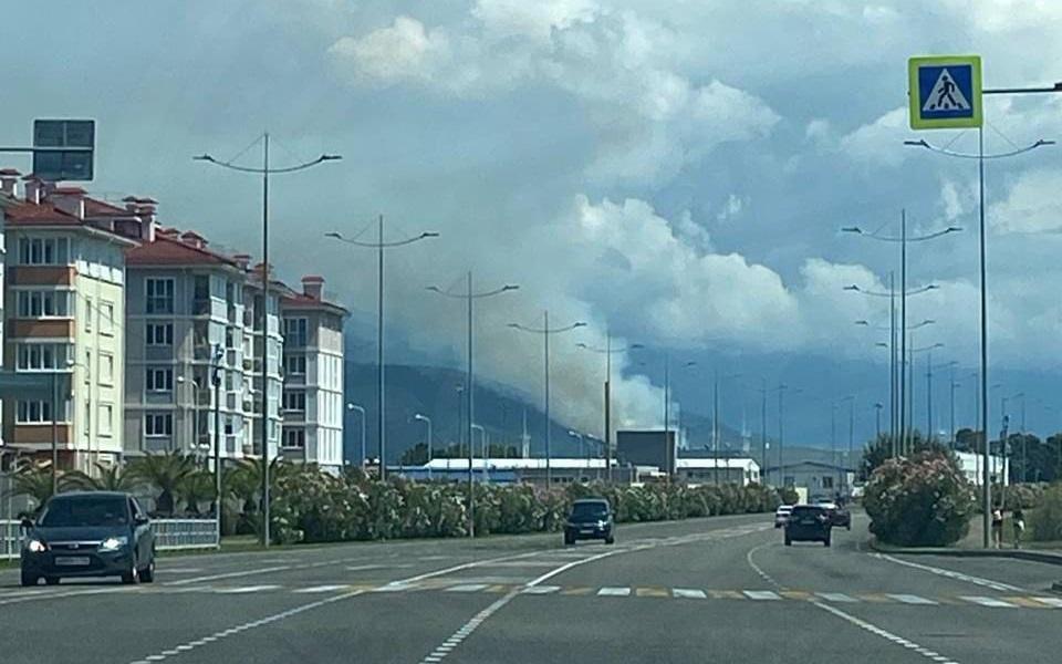 В Абхазии горит 60 гектаров леса у Чёрного моря: фото и видео