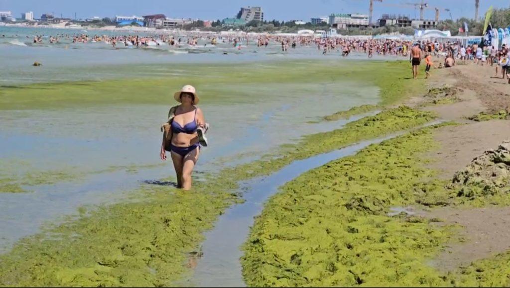 Чёрное море превратилось в болото у Анапы: отдыхающая идёт по камке