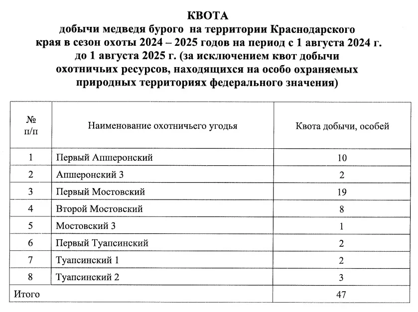 Голодные и больные медведи массово спускаются с гор в Сочи: видео