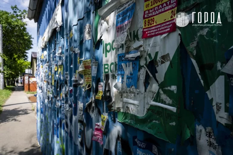 Нет строителей, учителей и медиков: в Краснодарском крае острая нехватка кадров во многих сферах