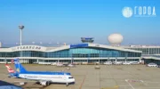 Туристка отсудила у авиакомпании 80 000 рублей за полёт с собакой в Сочи