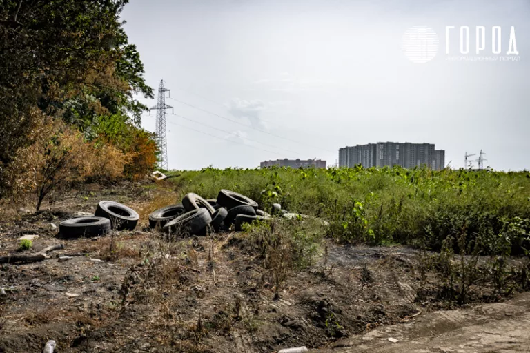 «На это не стоит уповать»: о перспективах переноса сроков принятия Генплана Краснодара