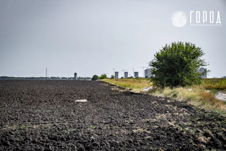 Мэрия Краснодара увеличила надои молока