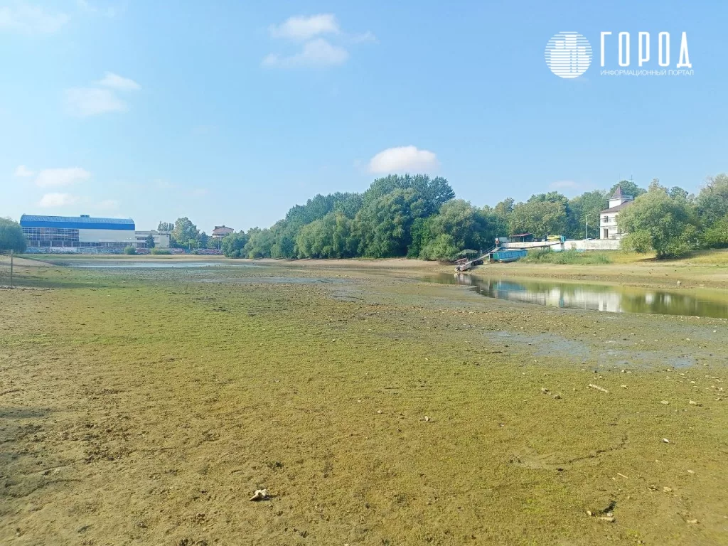 Обмелевшее дно Кубани на Затоне в Краснодаре.