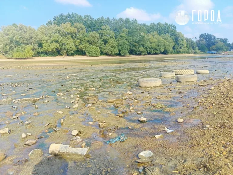 Бутылки, ракушки и покрышки: почему в Краснодаре не чистят русло обмелевшей Кубани