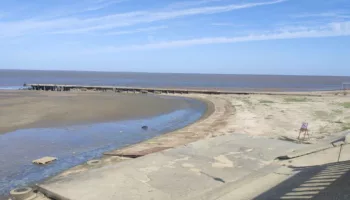 новости краснодара, город, обмелению, азовское море, отошла вода (1)