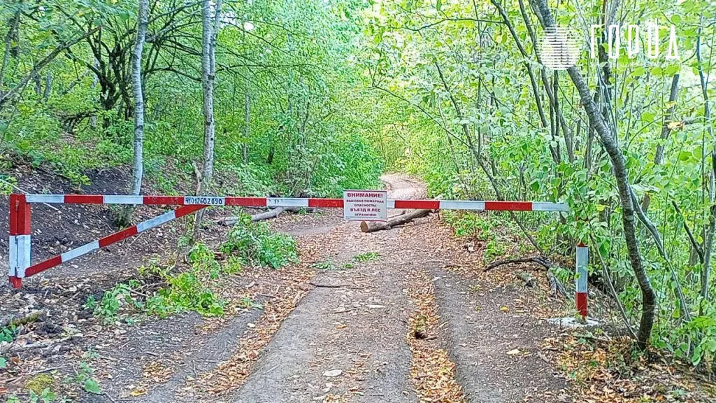 Шлагбаум в лес Чибиского ущелья к Волчьим и Медвежьим воротам.