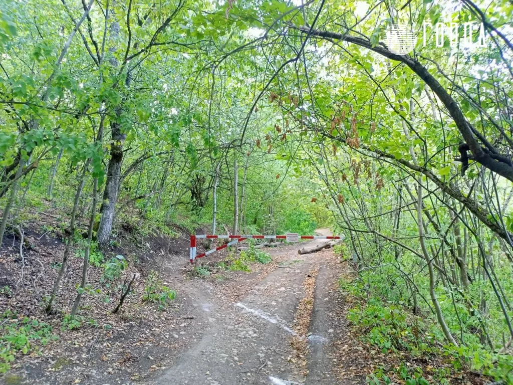 Шлагбаум в лесу по пути к Медвежьим и Волчьим воротам. 