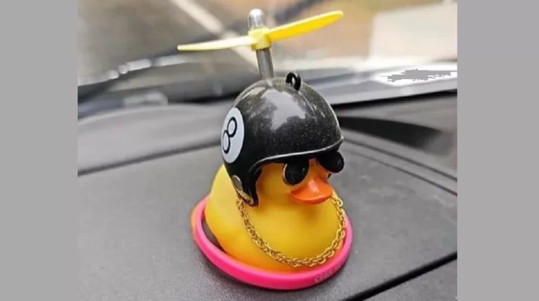 Краснодарцев пугают заминированными резиновыми утятами