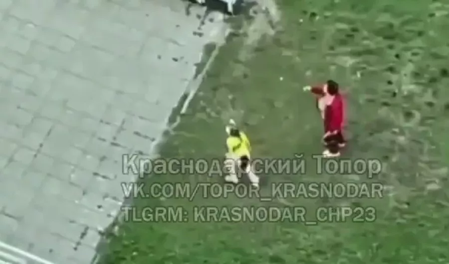 Девочка квадробер бежит за брошенной бабушкой палкой в Краснодаре.