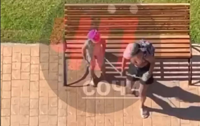 Мать выгуливает на привязи босого ребёнка в Сочи