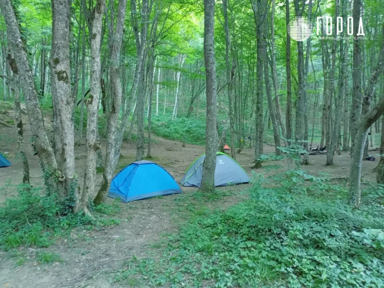 В Краснодарском крае мать сдала жильё туристам и поселилась с 7-летним сыном в лесу