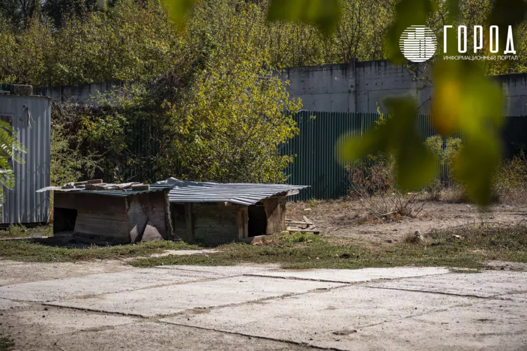 Собачьи будки у заброшенного пустыря на месте бывшей дачи Ахеджак на Затоне Краснодара. 