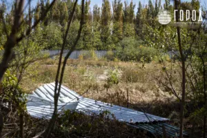 новости краснодар, город, затон, дачи ахеджак, кубанский кремль (19)