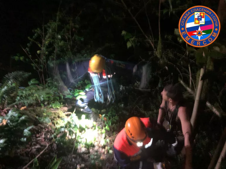 Грибник убегал от медведя и сорвался со скалы в горах Сочи