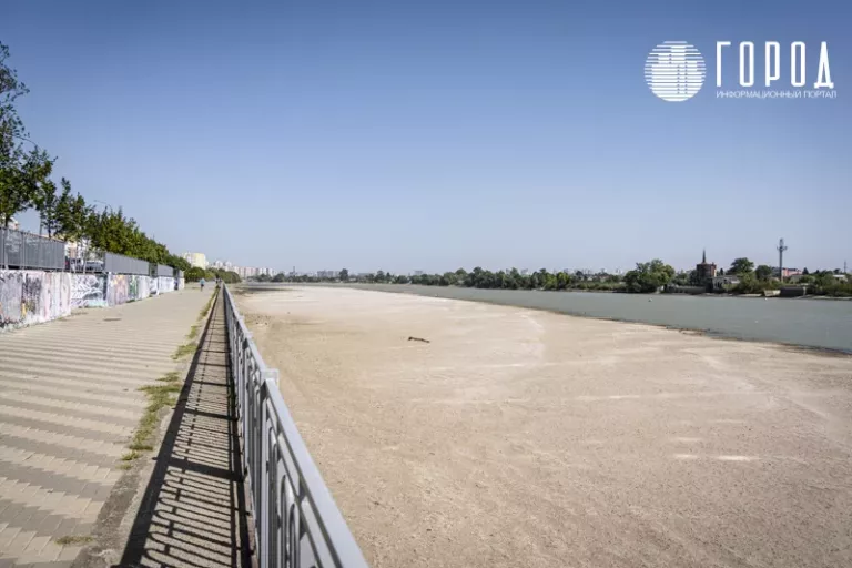 В Краснодаре зелёных зон в 2,5 раза меньше нормы