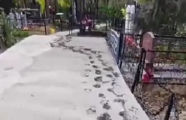 В Краснодарском крае мужчина застрял в бетоне ночью на кладбище: видео