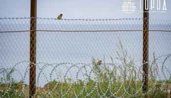 Этический кодекс жителя Краснодара разработали на основе УК РФ